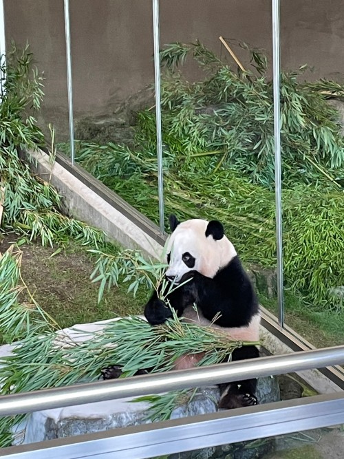 4915728470011098278.16beb6e2612bdf1421a7d4e0c622ad1b.23081408