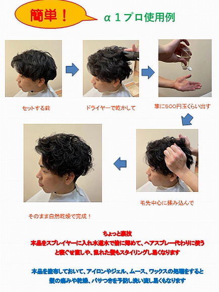 α1プロ説明2021-12