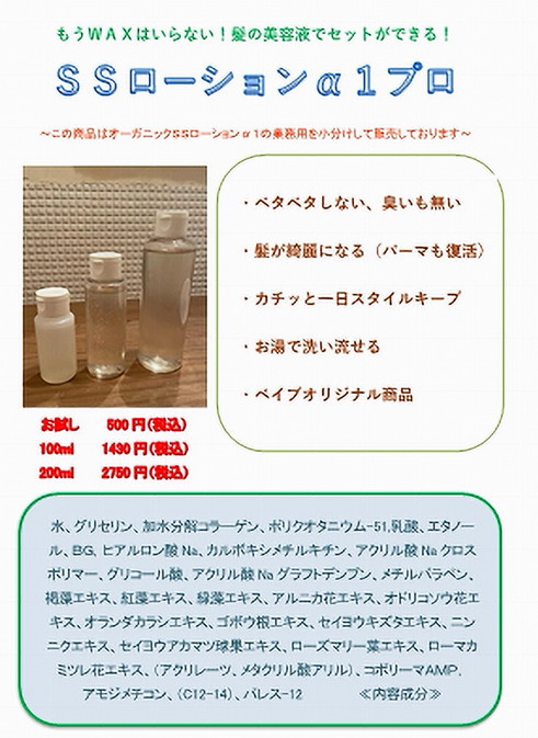 α1プロ説明2021-1