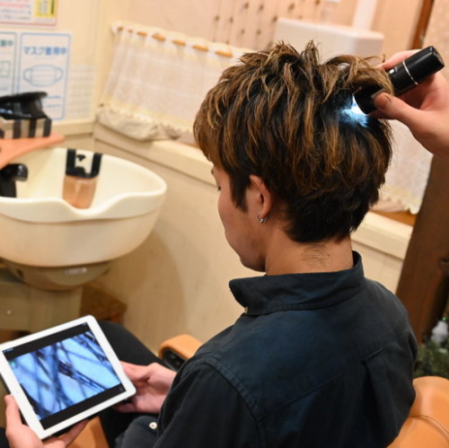 DSC_0235.jpg20201203