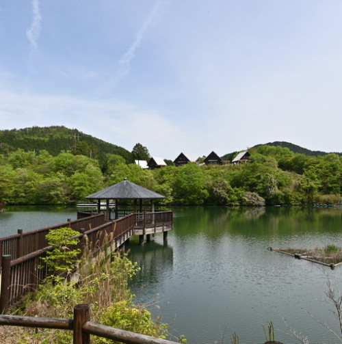 DSC_1428.jpg20210505