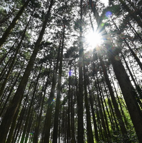 DSC_1447.jpg20210505