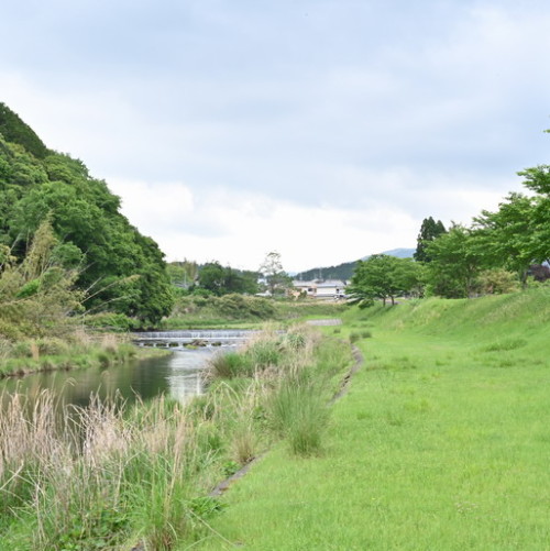 DSC_1512.jpg20210519