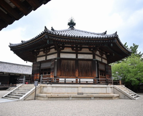 DSC_1653.jpg20210707