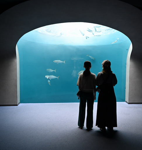 DSC_3031.jpg20220907