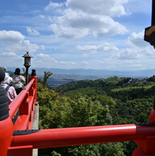 DSC_3253.jpg20220928