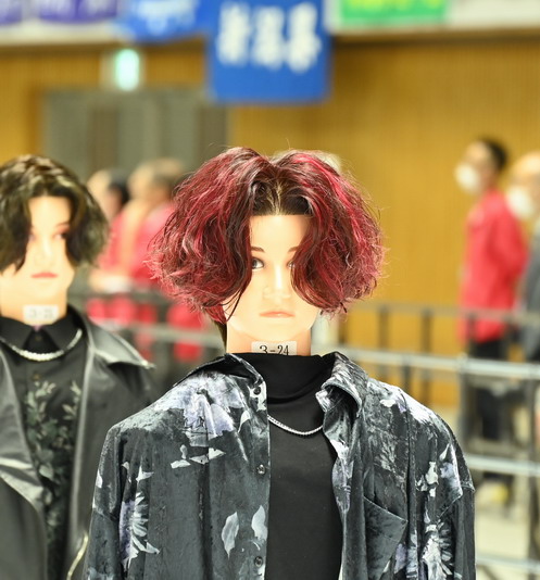 DSC_4532.jpg20230921