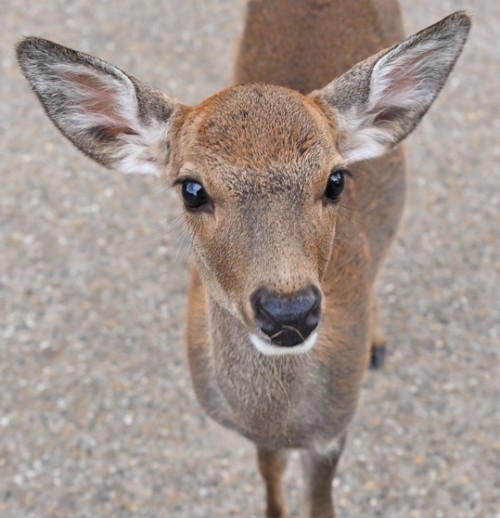 DSC_4630.jpg20231003