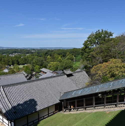 DSC_4669.jpg20231003