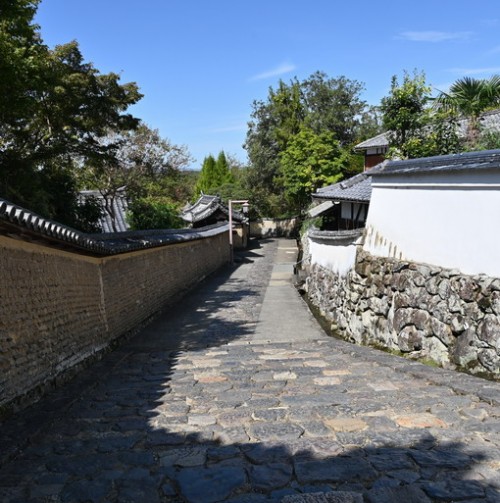 DSC_4673.jpg20231003