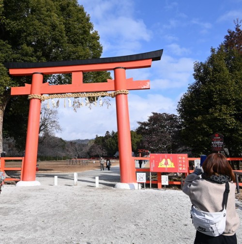 DSC_4775.jpg20240214