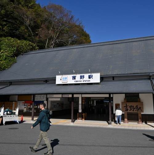 DSC_6433.jpg20241126