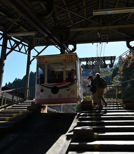 DSC_6435.jpg20241126