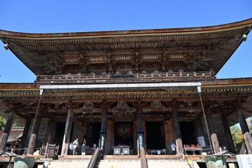 DSC_6453.jpg20241126