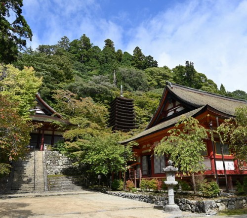 DSC_7308.jpg20251017