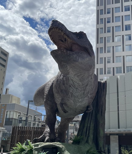 IMG_0506.jpg20240821