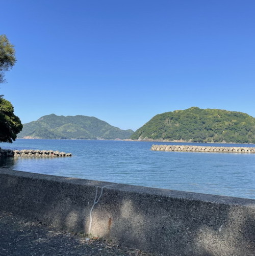 IMG_1742.jpg20220601