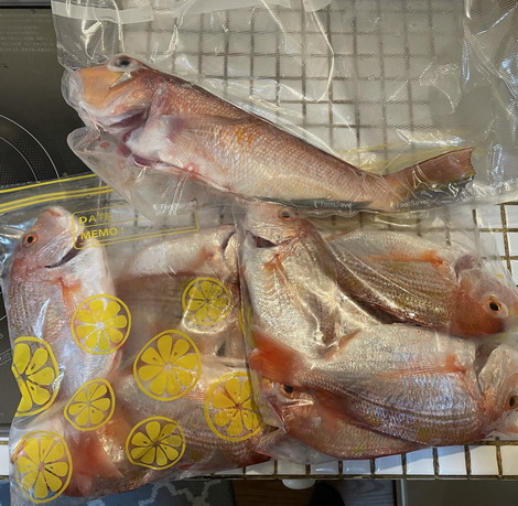 IMG_8272.jpg20201208