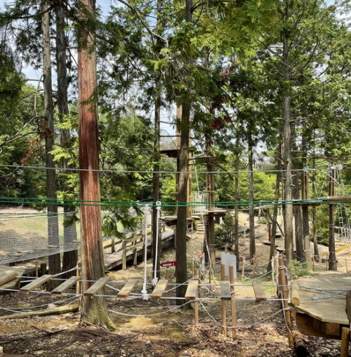 IMG_8948.jpg20210714