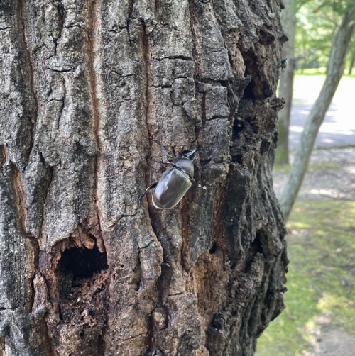 IMG_8952.jpg20210714